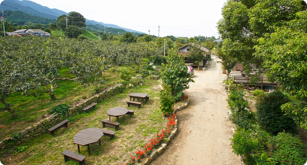 髙山果樹園について