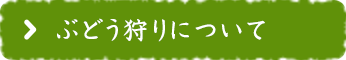 ぶどう狩りについて