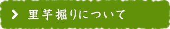 里芋掘りについて