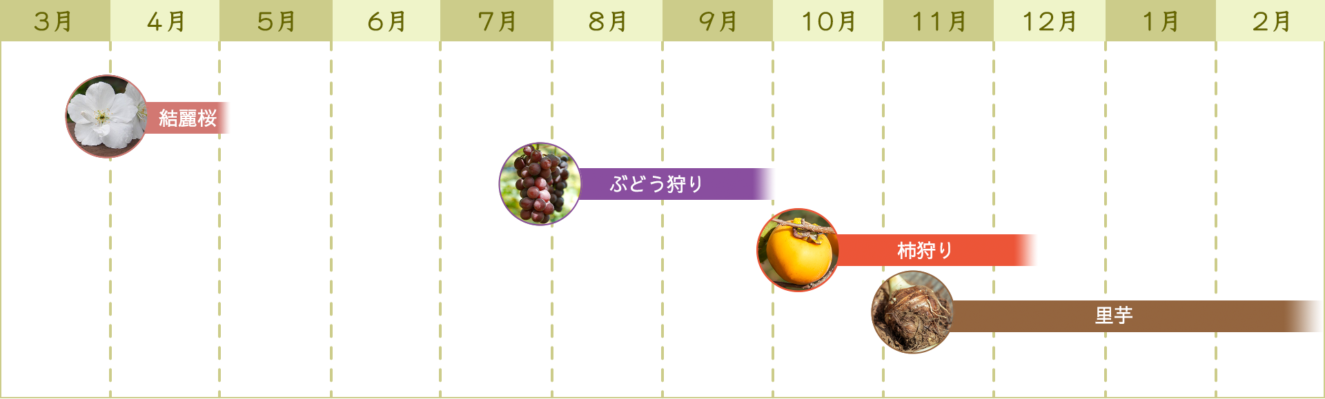 年間カレンダー